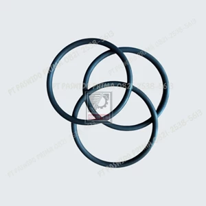 Seal O-ring Plug 12-900# D. 270 x 310 x 20mm Mat  Viton